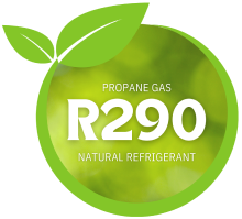 R290